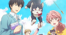 Doukyonin wa Hiza, Tokidoki, Atama no Ue. Episode 01 Vostfr