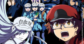 Hataraku Saibou BLACK Episode 10 Vostfr