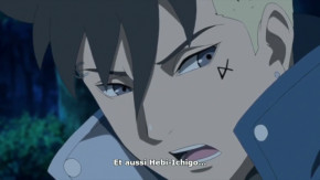 Boruto - Naruto Next Generations Episode 249 Vostfr