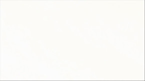 Darker than BLACK : Kuro no Keiyakusha Episode 25 Vostfr