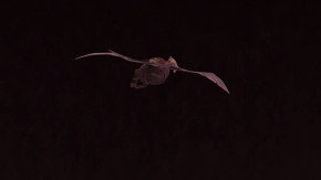 Deep Insanity : The Lost Child Episode 03 Vostfr