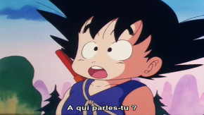 Dragon Ball Episode 02 Vostfr