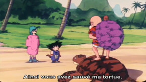 Dragon Ball Episode 03 Vostfr