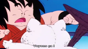 Dragon Ball Episode 126 Vostfr
