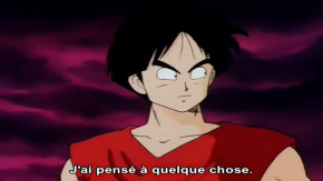 Dragon Ball Episode 132 Vostfr