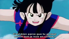 Dragon Ball Episode 137 Vostfr