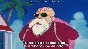 Dragon Ball Episode 14 Vostfr