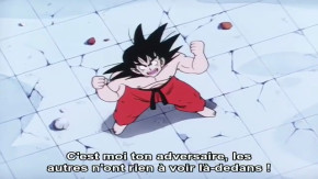 Dragon Ball Episode 144 Vostfr