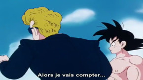 Dragon Ball Episode 147 Vostfr