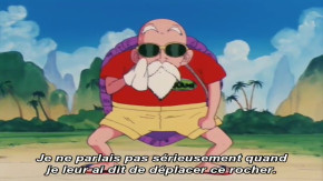 Dragon Ball Episode 19 Vostfr