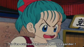 Dragon Ball Episode 20 Vostfr