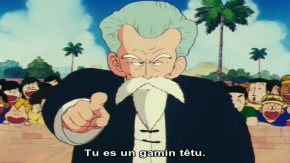 Dragon Ball Episode 26 Vostfr
