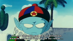 Dragon Ball Episode 30 Vostfr