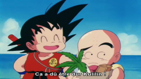 Dragon Ball Episode 47 Vostfr
