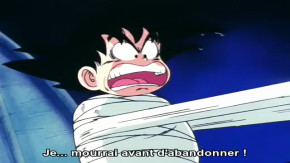 Dragon Ball Episode 73 Vostfr