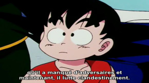 Dragon Ball Episode 85 Vostfr