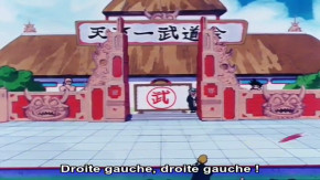 Dragon Ball Episode 90 Vostfr