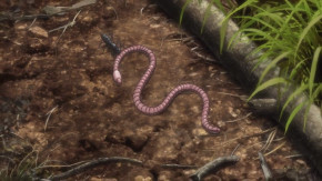 Hanma Baki : Son of Ogre Episode 02 Vostfr