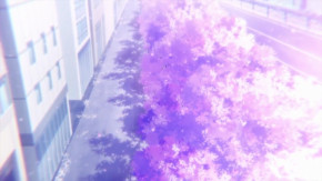 Kakkou no Iinazuke Episode 19 Vostfr