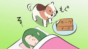 Nyoro-n Churuya-san Episode 12 Vostfr