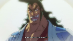 One Piece Episode 1004 Vostfr