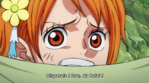 One Piece Episode 1008 Vostfr