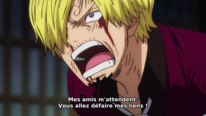 One Piece Episode 1011 Vostfr
