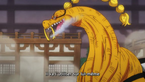 One Piece Episode 1023 Vostfr