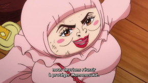 One Piece Episode 1024 Vostfr