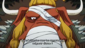 One Piece Episode 1026 Vostfr