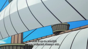 One Piece Episode 1030.5 Vostfr