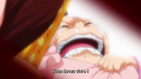 One Piece Episode 1036 Vostfr