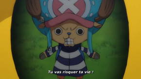 One Piece Episode 1039 Vostfr