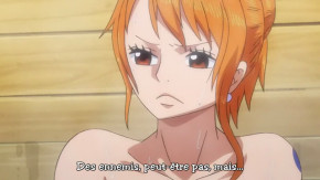 One Piece Episode 931 Vostfr