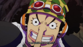 One Piece Episode 989 Vostfr