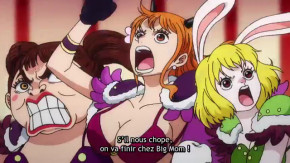 One Piece Episode 993 Vostfr