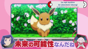 Pocket Monsters (2019) Episode 119 Vostfr