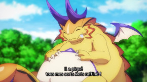 Shadowverse Episode 14 Vostfr