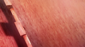 Shikkakumon no Saikyou Kenja Episode 12 Vostfr