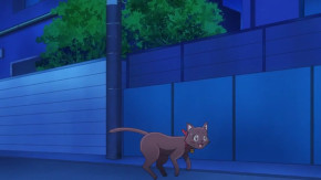 Tokyo Mew Mew New ♡ Episode 11 Vostfr